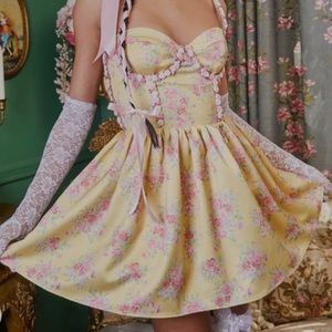 Dolls kill floral corset Princess mini dress